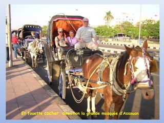 Et fouette cocher, direction la grande mosquée d’Assouan

 