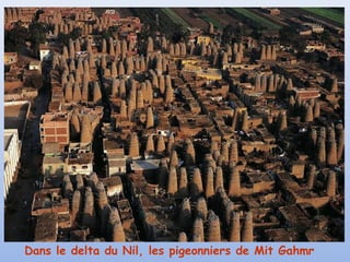 Dans le delta du Nil, les pigeonniers de Mit Gahmr
 