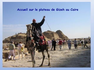 Accueil sur le plateau de Gizeh au Caire
 