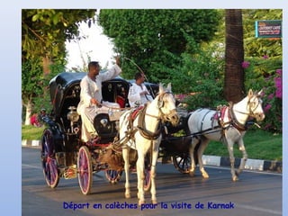 Départ en calèches pour la visite de Karnak
 