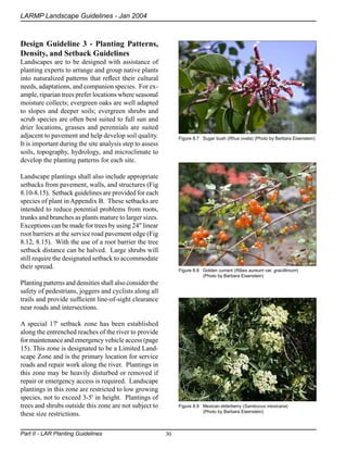 Landscaping Guidelines and Plant Palettes - Los Angeles, California | PDF