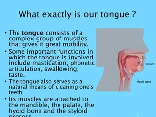 What exactly is our tongue ?
13
• The tongue consists of a
complex group of muscles
that gives it great mobility.
• Some important functions in
which the tongue is involved
include mastication, phonetic
articulation, swallowing,
taste.
• The tongue also serves as a
natural means of cleaning one's
teeth
• Its muscles are attached to
the mandible, the palate, the
hyoid bone and the styloid
frenum
Hyoid bone
 