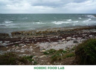 INITIATIVES BEYOND noma
 