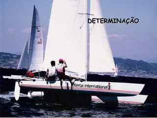 DETERMINAÇÃO 