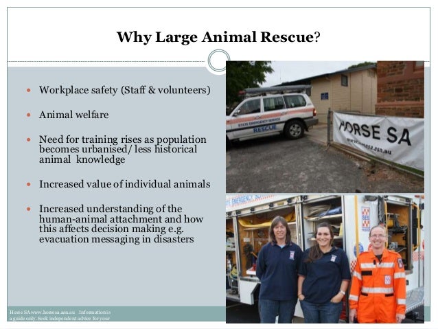 Large Animal Rescue An Introduction For Horse Owners On