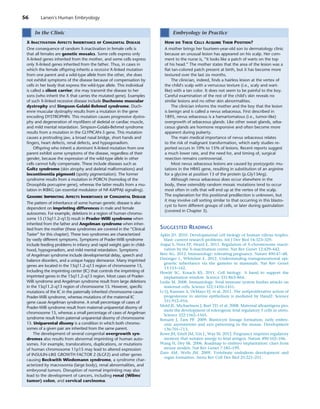 Memory Embry Larsen's Human Embryology.pdfembryology for medical students | PDF