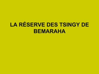 LA RÉSERVE DES TSINGY DE
BEMARAHA
 