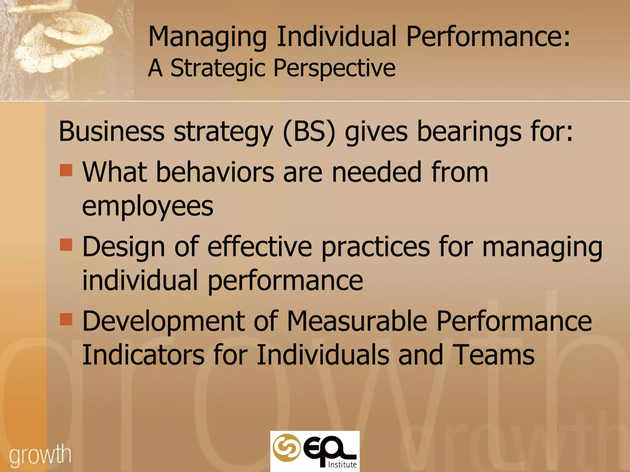 Managing Individual Performance:  A Strategic Perspective Business strategy (BS) gives bearings for: What behaviors are needed from employees  Design of effective practices for managing individual performance Development of Measurable Performance Indicators for Individuals and Teams 