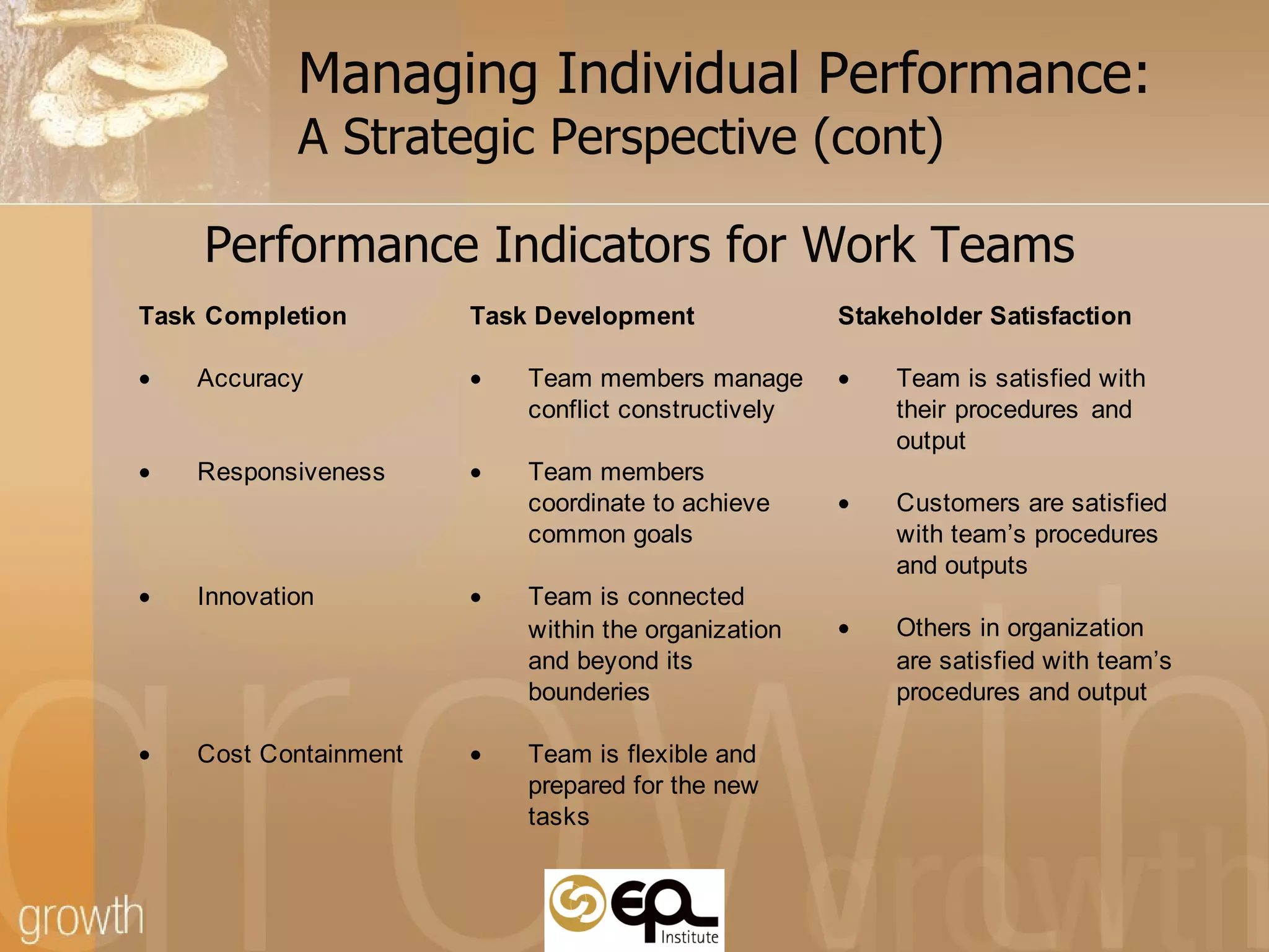 Managing Individual Performance:  A Strategic Perspective (cont) Performance Indicators for Work Teams 