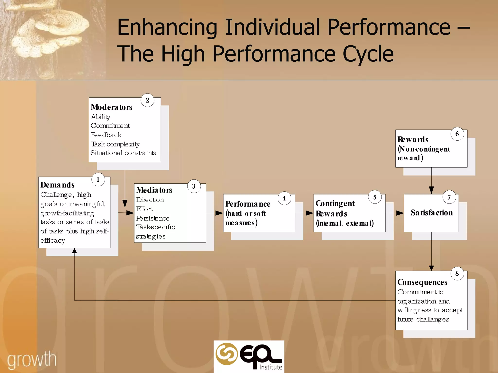 Enhancing Individual Performance – The High Performance Cycle 