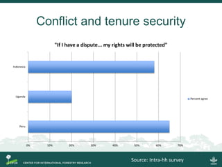 Conflict in collective land and forest formalization: a preliminary analysis