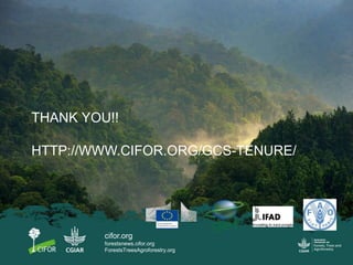 Conflict in collective land and forest formalization: a preliminary analysis