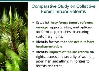Conflict in collective land and forest formalization: a preliminary analysis
