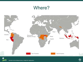 Conflict in collective land and forest formalization: a preliminary analysis
