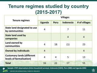 Conflict in collective land and forest formalization: a preliminary analysis