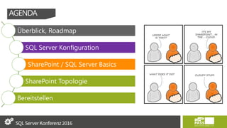 Überblick, Roadmap
SQL Server Konfiguration
SharePoint / SQL Server Basics
SharePoint Topologie
Bereitstellen
AGENDA
 
