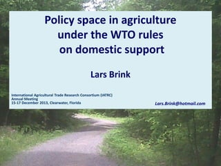 Policy space in agriculture
under the WTO rules
on domestic support
Lars Brink
International Agricultural Trade Research Consortium (IATRC)
Annual Meeting
15-17 December 2013, Clearwater, Florida

Lars.Brink@hotmail.com

 
