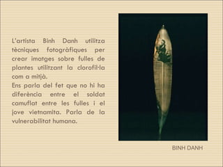 L’artista Binh Danh utilitza tècniques fotogràfiques per crear imatges sobre fulles de plantes utilitzant la clorofil·la com a mitjà. Ens parla del fet que no hi ha diferència entre el soldat camuflat entre les fulles i el jove vietnamita. Parla de la vulnerabilitat humana. BINH DANH 