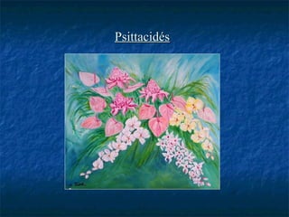 PsittacidésPsittacidés
 