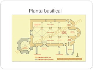 Planta basilical
 