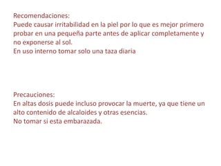Recomendaciones:
Puede causar irritabilidad en la piel por lo que es mejor primero
probar en una pequeña parte antes de aplicar completamente y
no exponerse al sol.
En uso interno tomar solo una taza diaria
Precauciones:
En altas dosis puede incluso provocar la muerte, ya que tiene un
alto contenido de alcaloides y otras esencias.
No tomar si esta embarazada.
 