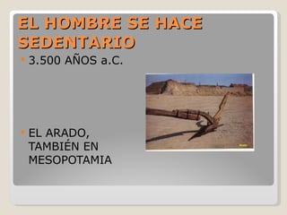 EL HOMBRE SE HACE SEDENTARIO 3.500 AÑOS a.C. EL ARADO, TAMBIÉN EN MESOPOTAMIA 