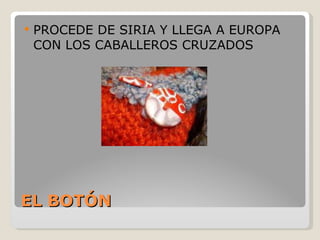 EL BOTÓN PROCEDE DE SIRIA Y LLEGA A EUROPA CON LOS CABALLEROS CRUZADOS 