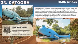 La Ballena Azul de Catoosa se ha convertido en un querido hito histórico a lo largo de la
Ruta 66. La Ballena Azul fue construida originalmente por Hugh S. Davis, un zoólogo y
padre de familia que imaginó a la ballena como un lugar especial donde sus nietos
pudieran jugar y nadar en las cercanías. estanque. Sus bocetos del mamífero crecieron
hasta alcanzar los 20 pies de alto y 80 pies de largo. Con la ayuda de un amigo, Harold
Thomas, el dúo pasó dos años soldando la estructura metálica y aplicando el cemento
mezclado a mano, un balde de cinco galones a la vez.
 