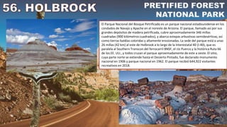 El Parque Nacional del Bosque Petrificado es un parque nacional estadounidense en los
condados de Navajo y Apache en el noreste de Arizona. El parque, llamado así por sus
grandes depósitos de madera petrificada, cubre aproximadamente 346 millas
cuadradas (900 kilómetros cuadrados), y abarca estepas arbustivas semidesérticas, así
como tierras baldías coloridas y altamente erosionadas. La sede del parque está a unas
26 millas (42 km) al este de Holbrook a lo largo de la Interestatal 40 (I-40), que es
paralela al Southern Transcon del ferrocarril BNSF, el río Puerco y la histórica Ruta 66
de los EE. UU., y todos cruzan el parque aproximadamente de este a oeste. El sitio,
cuya parte norte se extiende hasta el Desierto Pintado, fue declarado monumento
nacional en 1906 y parque nacional en 1962. El parque recibió 644,922 visitantes
recreativos en 2018.
 
