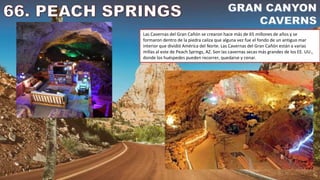 Las Cavernas del Gran Cañón se crearon hace más de 65 millones de años y se
formaron dentro de la piedra caliza que alguna vez fue el fondo de un antiguo mar
interior que dividió América del Norte. Las Cavernas del Gran Cañón están a varias
millas al este de Peach Springs, AZ. Son las cavernas secas más grandes de los EE. UU.,
donde los huéspedes pueden recorrer, quedarse y cenar.
 