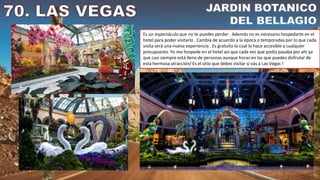 Es un espectáculo que no te puedes perder . Además no es necesario hospedarte en el
hotel para poder visitarlo . Cambia de acuerdo a la época o temporadas por lo que cada
visita será una nueva experiencia . Es gratuito lo cual lo hace accesible a cualquier
presupuesto. Yo me hospede en el hotel así que cada vez que podía pasaba por ahí ya
que casi siempre está lleno de personas aunque horas en las que puedes disfrutar de
esta hermosa atracción/ Es el sitio que debes visitar si vas a Las Vegas !
 