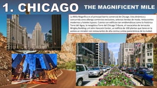 La Milla Magnífica es el principal barrio comercial de Chicago. Esta dinámica y
concurrida zona alberga comercios exclusivos, selectas tiendas de moda, restaurantes
modernos y hoteles lujosos. Cuenta con edificios tan emblemáticos como la histórica
Torre del Agua, la neogótica Torre del Chicago Tribune, el rascacielos de terracota
Wrigley Building y el John Hancock Center, un edificio de 100 plantas que tiene en la
azotea un mirador con restaurantes de alta cocina y vistas panorámicas de la ciudad.
 