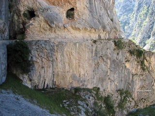 Ppsx HelenPpsx Helen
 