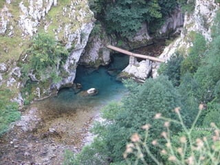 Ppsx HelenPpsx Helen
 