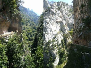 Ppsx HelenPpsx Helen
 