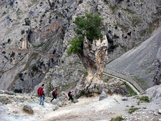 Ppsx HelenPpsx Helen
 