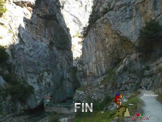 Ppsx HelenPpsx Helen
 