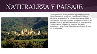 NATURALEZA Y PAISAJE
Una amplia oferta de alojamientos te permitirá conocer
zonas naturales de excepción, como el futuro Parque
Natural de las Montañas de Prades-Bosques de Poblet, o
los diferentes espacios naturales protegidos localizados en
las tres comarcas por las que transcurre la Ruta del Cister.
Podrás practicar deportes de aventura, escalada,
senderismo y un sinfín de actividades en contacto directo
con la naturaleza.
 