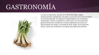 GASTRONOMÍA
La cocina tradicional, ubicada en la Ruta del Cister, utiliza
exclusivamente ingredientes naturales y productos de la tierra propios
de cada temporada. El visitante se podrá deleitar con embutidos
artesanales, dulces o pastelería y, sobre todo, con los productos
gastronómicos por excelencia: la típica calçotada, los vinos con
denominación de origen y el aceite de oliva virgen. En la Ruta del
Cister, comer se convierte en un placer para todos los sentidos.
 