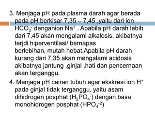 3. Menjaga pH pada plasma darah agar berada
pada pH berkisar 7,35 – 7,45 ,yaitu dari ion
HCO3
- denganion Na+ . Apabila pH darah lebih
dari 7,45 akan mengalami alkalosis, akibatnya
terjdi hiperventilasi/ bernapas
berlebihan, mutah hebat.Apabila pH darah
kurang dari 7,35 akan mengalami acidosis
akibatnya jantung ,ginjal ,hati dan pencernaan
akan terganggu.
4. Menjaga pH cairan tubuh agar ekskresi ion H+
pada ginjal tidak terganggu, yaitu asam
dihidrogen posphat (H2PO4
-) dengan basa
monohidrogen posphat (HPO4
-2)
 