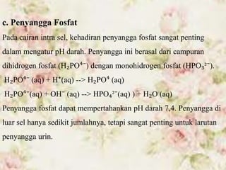 c. Penyangga Fosfat
Pada cairan intra sel, kehadiran penyangga fosfat sangat penting
dalam mengatur pH darah. Penyangga ini berasal dari campuran
dihidrogen fosfat (H₂PO⁴⁻) dengan monohidrogen fosfat (HPO₃²⁻).
H₂PO⁴⁻ (aq) + H⁺(aq) --> H₂PO⁴ (aq)
H₂PO⁴⁻(aq) + OH⁻ (aq) --> HPO₄²⁻(aq) ) + H₂O (aq)
Penyangga fosfat dapat mempertahankan pH darah 7,4. Penyangga di
luar sel hanya sedikit jumlahnya, tetapi sangat penting untuk larutan
penyangga urin.
 
