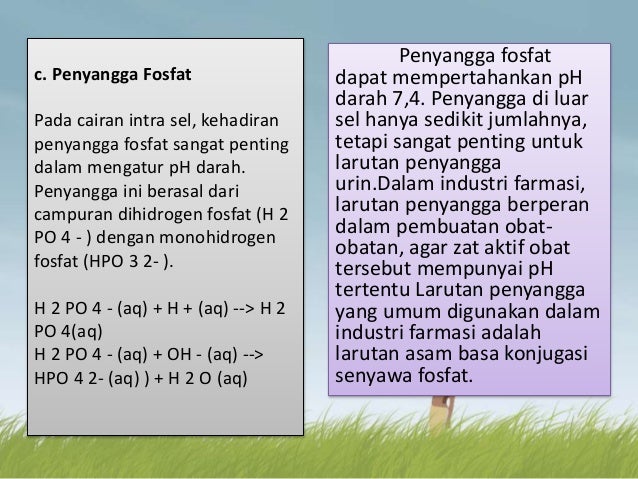 Larutan Penyangga Kimia