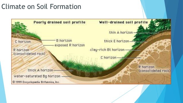 How soil are formed