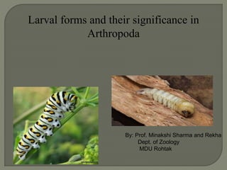 Larval forms and their significance in
Arthropoda
By: Prof. Minakshi Sharma and Rekha
Dept. of Zoology
MDU Rohtak
 