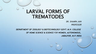 LARVAL FORMS OF
TREMATODES
DR. SHAMPA JAIN
PROFESSOR
DEPARTMENT OF ZOOLOGY & BIOTECHNOLOGY GOVT. M.H. COLLEGE
OF HOME SCIENCE & SCIENCE FOR WOMEN, AUTONOMOUS,
JABALPUR, M.P. INDIA
S
 