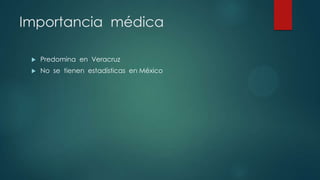 Importancia médica
 Predomina en Veracruz
 No se tienen estadísticas en México
 