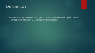 Definición
Dermatosis aguda producida por parásitos móviles en la piel, como
Ancylostoma caninum y Ancylostoma braziliense.
 