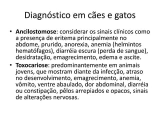 Diagnóstico em cães e gatos
• Ancilostomose: considerar os sinais clínicos como
a presença de eritema principalmente no
abdome, prurido, anorexia, anemia (helmintos
hematófagos), diarréia escura (perda de sangue),
desidratação, emagrecimento, edema e ascite.
• Toxocariose: predominantemente em animais
jovens, que mostram diante da infecção, atraso
no desenvolvimento, emagrecimento, anemia,
vômito, ventre abaulado, dor abdominal, diarréia
ou constipação, pêlos arrepiados e opacos, sinais
de alterações nervosas.
 