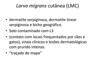 Larva migrans cutânea (LMC)
• dermatite serpiginosa, dermatite linear
serpiginosa e bicho geográfico.
• Solo contaminado com L3
• (contato com locais frequentados por cães e
gatos), sinais clínicos e lesões dermatológicas
com prurido intenso.
• “traçado de mapa”
 