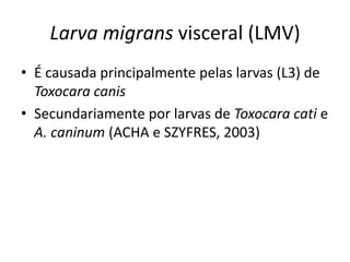 Larva migrans visceral (LMV)
• É causada principalmente pelas larvas (L3) de
Toxocara canis
• Secundariamente por larvas de Toxocara cati e
A. caninum (ACHA e SZYFRES, 2003)
 